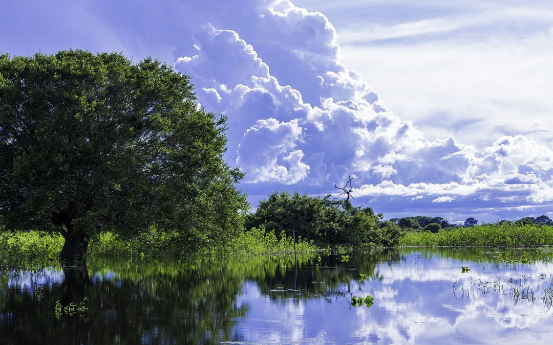 Descubra os Destinos de Luxo Mais Desejados do Brasil em 2025